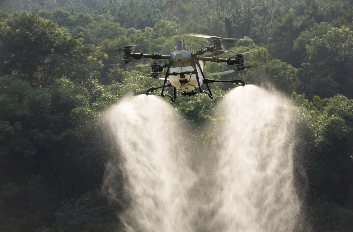 Drone delivering twin spray plumes over a tropical fruit orchard canopy