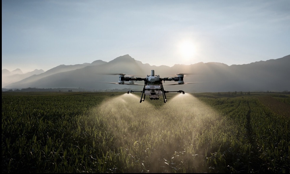 Agras spray drone applying inputs over a sunrise cornfield with mountain backdrop